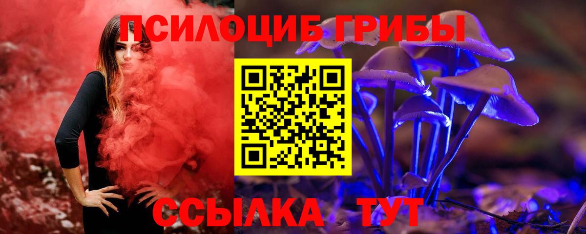 Галлюциногенные грибы ЛСД Шатура