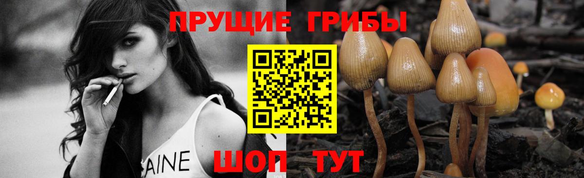 Галлюциногенные грибы ЛСД  Вход с VPN  Шатура 