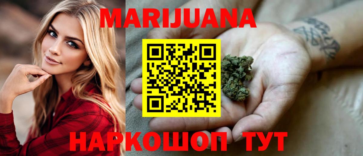 Каннабис план Шатура
